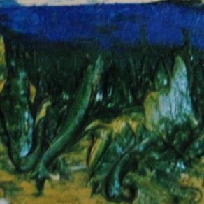 Vegetazione sul mare