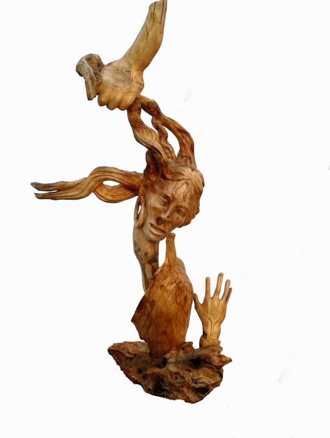 NAUFRAGIO FORZATO (speranze infrante) NAUFRAGIO FORZATO (speranze infrante)