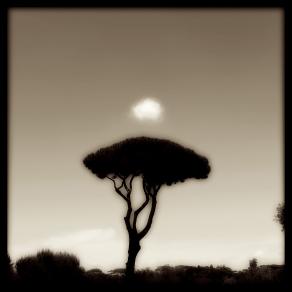 Roma 4 - fotografia di Augusto De Luca