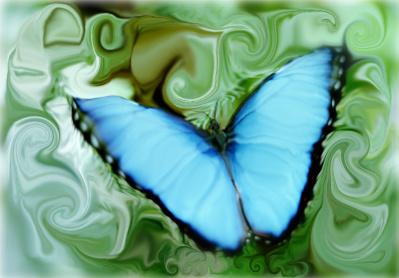 la mia farfallina qualche cosa di magico