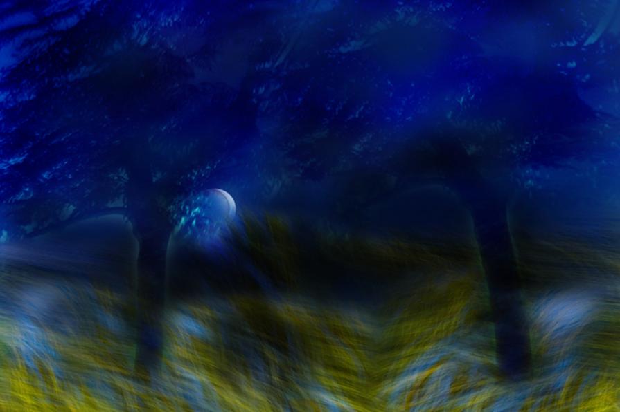 vibra la tua anima nelle torbiere suona un arpeggio lieve lieve struggente,un pensiero d'amore