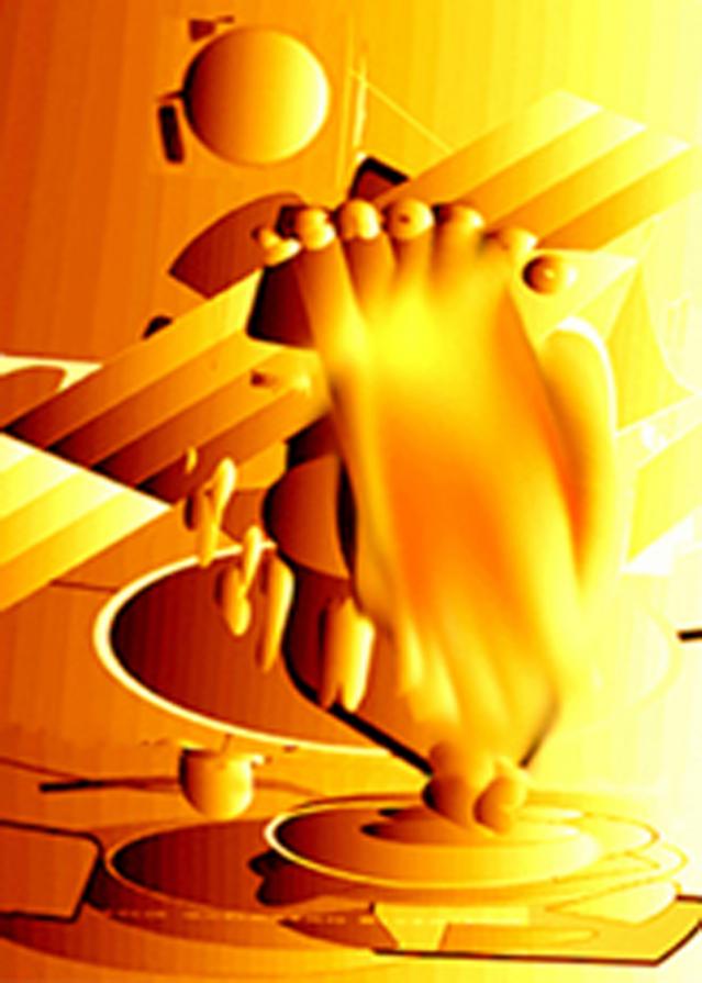 The Winner The Winner