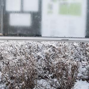 Insight-Out 8 Insight-Out 8