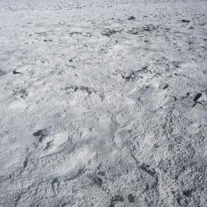 MORE THAN EVER a change of plan (salt plain 12)