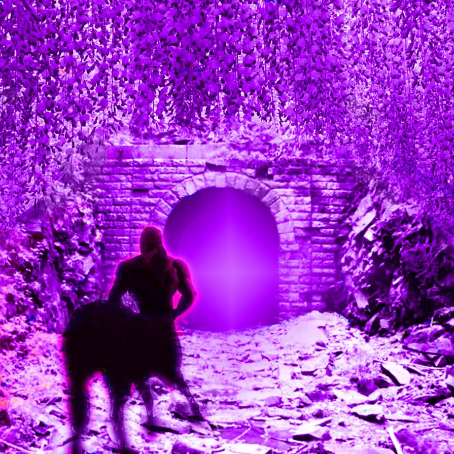 GUARDA CHE CIELO STELLATO CHE MAESTOSITÀ VIENE VOGLIA DI GETTARCISI IN QUEL CIELO !!!