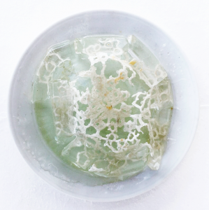 Julia Holtmann - Out Of Water