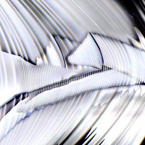 il pesce bianco nel mio acquario.