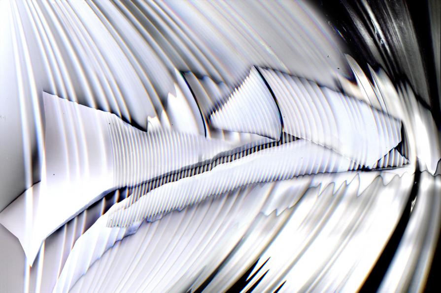 il pesce bianco nel mio acquario.