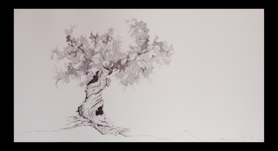 a U L I V O o f R 7 ®