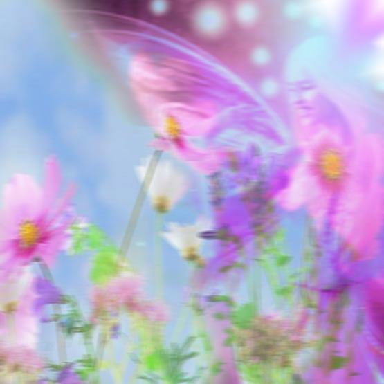 Un albero mi ha sussurrato che siamo fatti di sogni...!!!