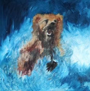 Orso nell' acqua 
