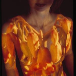 THE STORY OF CREATIVE THE STORY OF CREATIVE