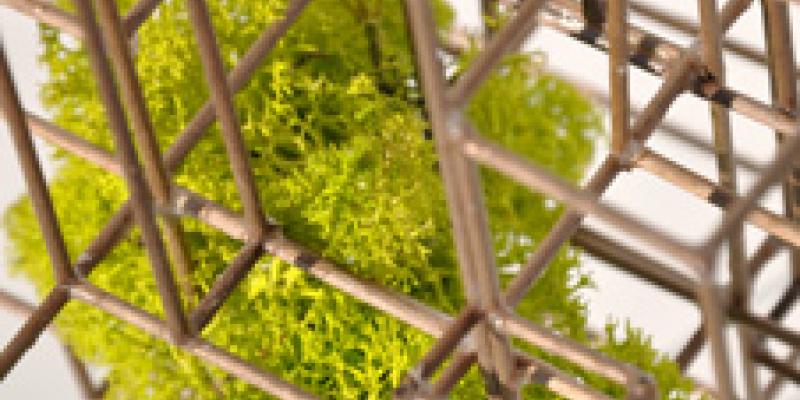 COSTRUIRE VISIONI. INCURSIONI FRA ARTE E ARCHITETTURA