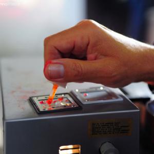 5 Elementi 5 Legno - Fuoco -Terra - Metallo - Acqua / Armonie e contrasti della natura attraverso l’Arte e il Feng shui 5 Elementi 5 Legno - Fuoco -Terra - Metallo - Acqua / Armonie e contrasti della natura attraverso l’Arte e il Feng shui