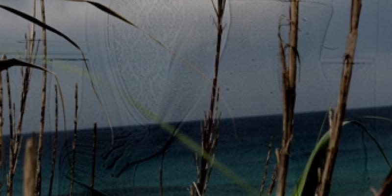 Some of my poems published