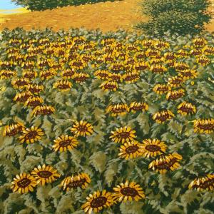 Il sorriso di Roberta per l’UNICEF - project “fight against infant and maternal mortality in Afghanistan”