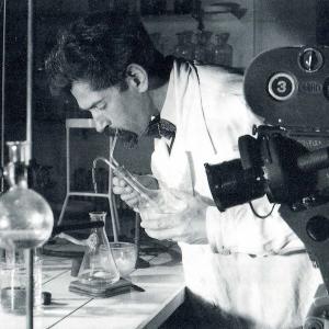 LA CULTURA A STRISCE SUL QUOTIDIANO L'ADIGE