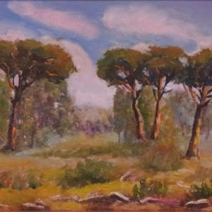 San Rossore .... Naturale bellezza