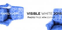 Selections for Visible White Photo Prize 