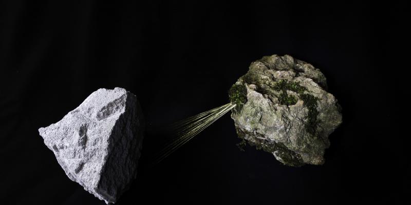 Epipedon | curated by Ludovico Pratesi Epipedon | curated by Ludovico Pratesi