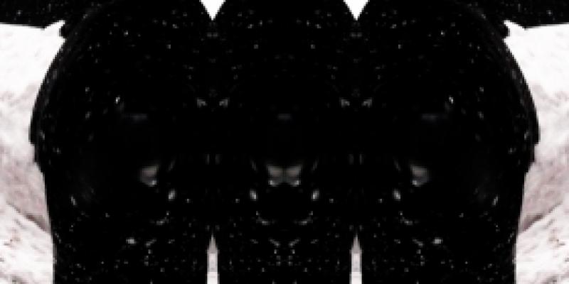 Donkey Art Prize Finalist Show