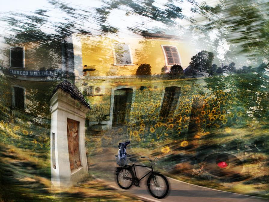 sei a passeggio stamattina maurino. ?????