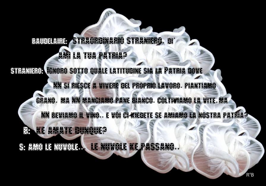 La patria delle nuvole La patria delle nuvole