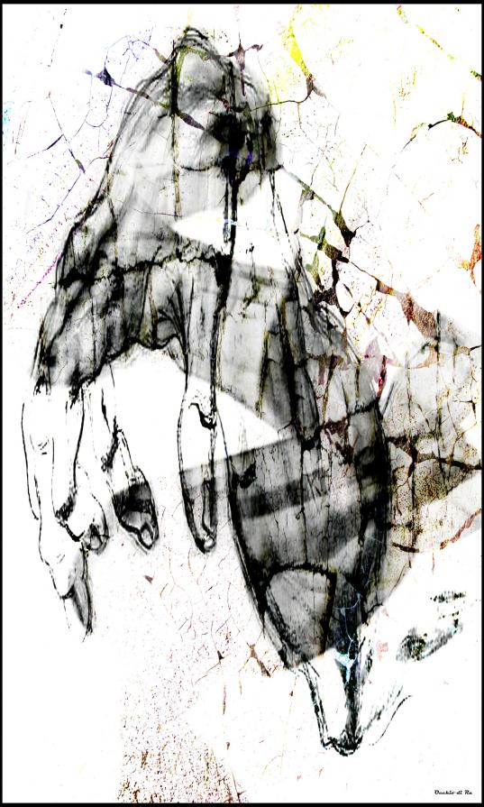 La Mano Negata - AlternativeVision