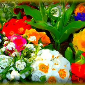 la vita può essere un'esplosione di colori