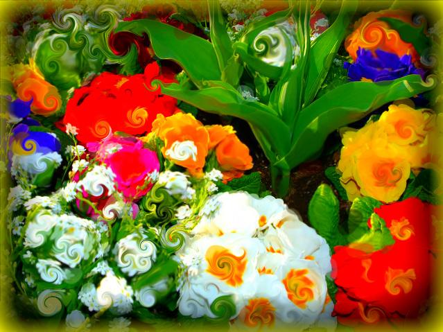 la vita può essere un'esplosione di colori