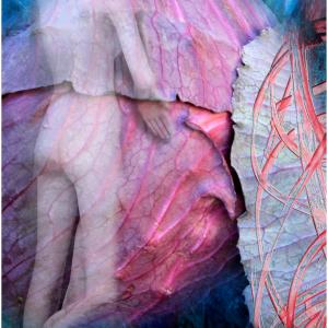 Transmutation XII Transmutation XII