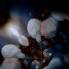 EUU 4 (Esperienza Ultra Umana) 