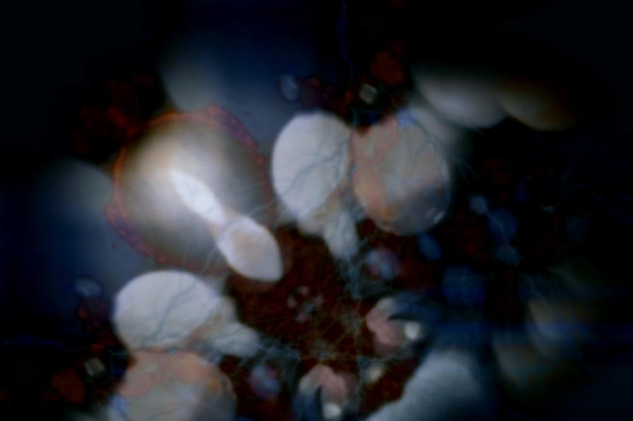 EUU 4 (Esperienza Ultra Umana) 