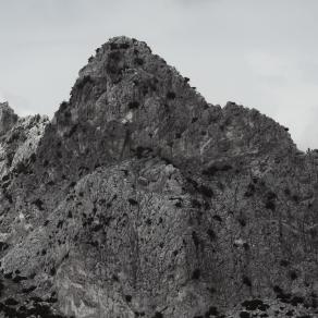 MORE THAN EVER Buffavento 38