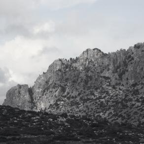 MORE THAN EVER Buffavento 29