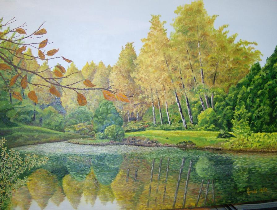 LG 0192 - Lo specchio del bosco - Ticino Lombardo