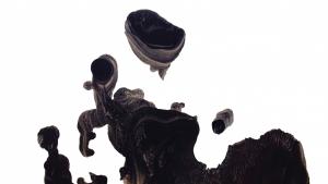 Yuanbo Jiang - My poetry