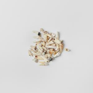 Untitled 07, from the Post series Untitled 07, from the Post series