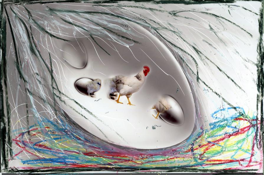 il ciclo della vita.