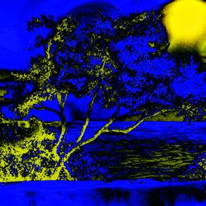 . .  . SCUSAMI . SO PARLARE SOLO DI TE !!! . . .  