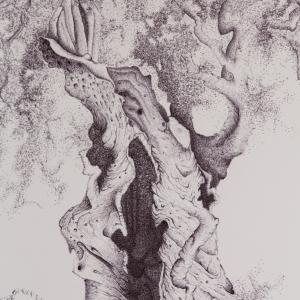 a U L I V O o f R 7 ®