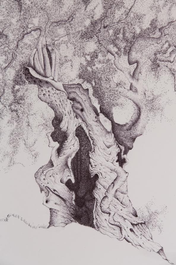 a U L I V O o f R 7 ®