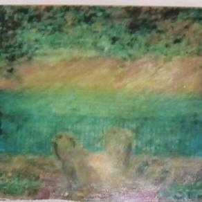 Una veranda pàrticolare