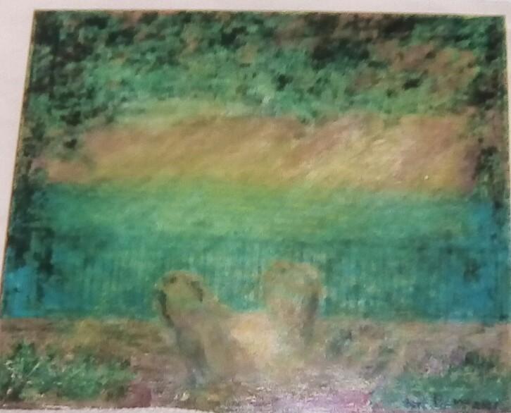 Una veranda pàrticolare