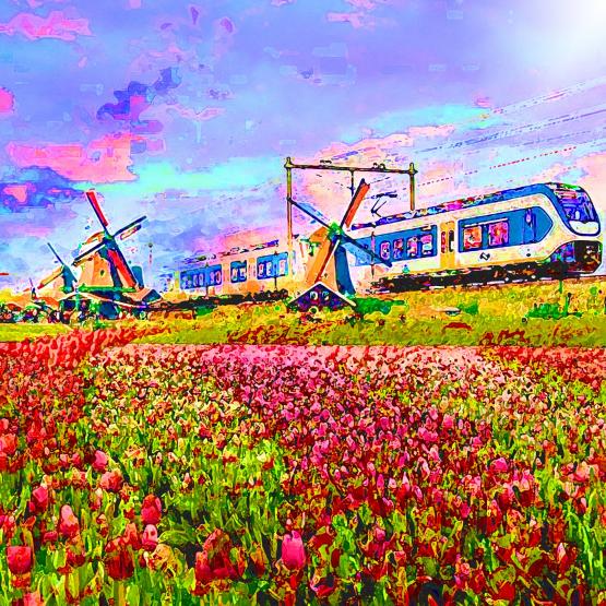 Olanda il paese della felicità...!!!