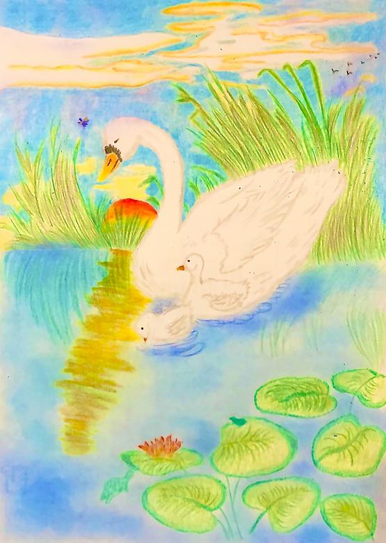 La maestosa grazia del cigno.