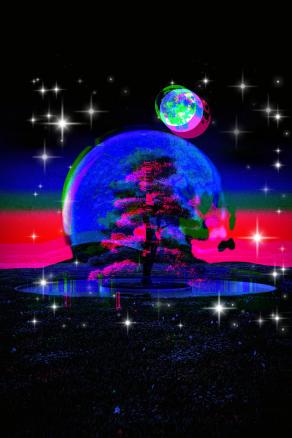 ... Ti ho sognato mentre mi dimenticavi ... !!!