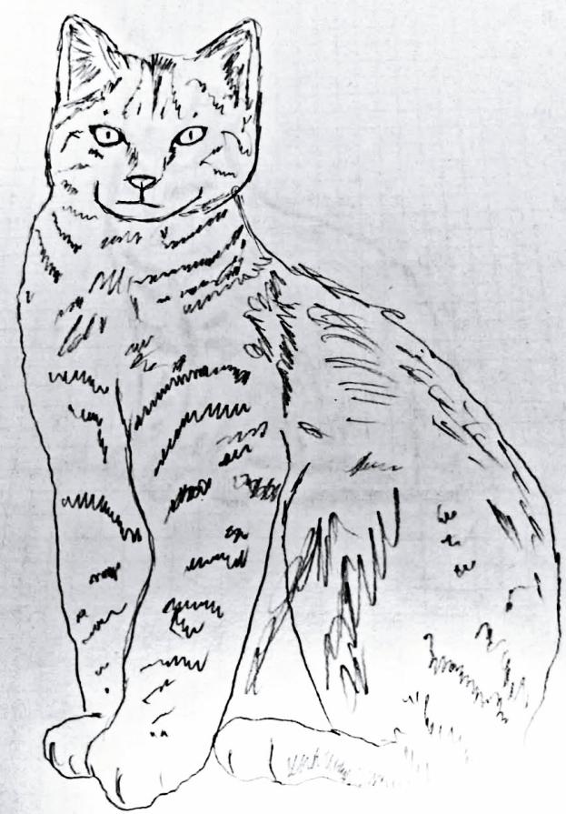 ... Un compagno di carta che ti guarda con gli occhi del mondo !!! ...