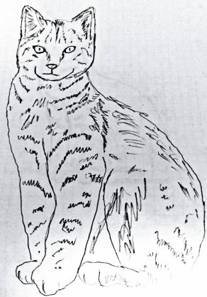 ... Un compagno di carta che ti guarda con gli occhi del mondo !!! ...