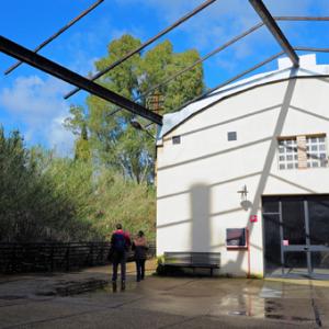 5 Elementi 5 Legno - Fuoco -Terra - Metallo - Acqua / Armonie e contrasti della natura attraverso l’Arte e il Feng shui 5 Elementi 5 Legno - Fuoco -Terra - Metallo - Acqua / Armonie e contrasti della natura attraverso l’Arte e il Feng shui